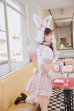 画像6: 【即日発送】ドーリーバニーアイドルセーラー【マリームーン】【ハロウィンコスプレ7点セット】【フリーサイズ/2カラー】[YMT]