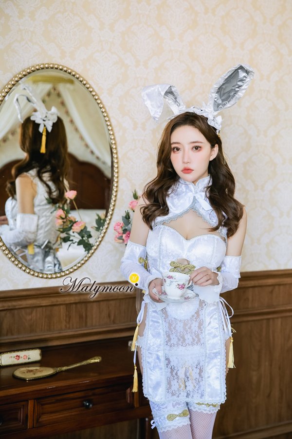 画像15: 【即日発送】チャイナバニーガール《高級コスランジェリー9点セット》【Dreamy Doll Premium/ドリーミードールプレミアム】【フリーサイズ/2カラー】[HC03]