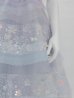 ブルーラベンダー