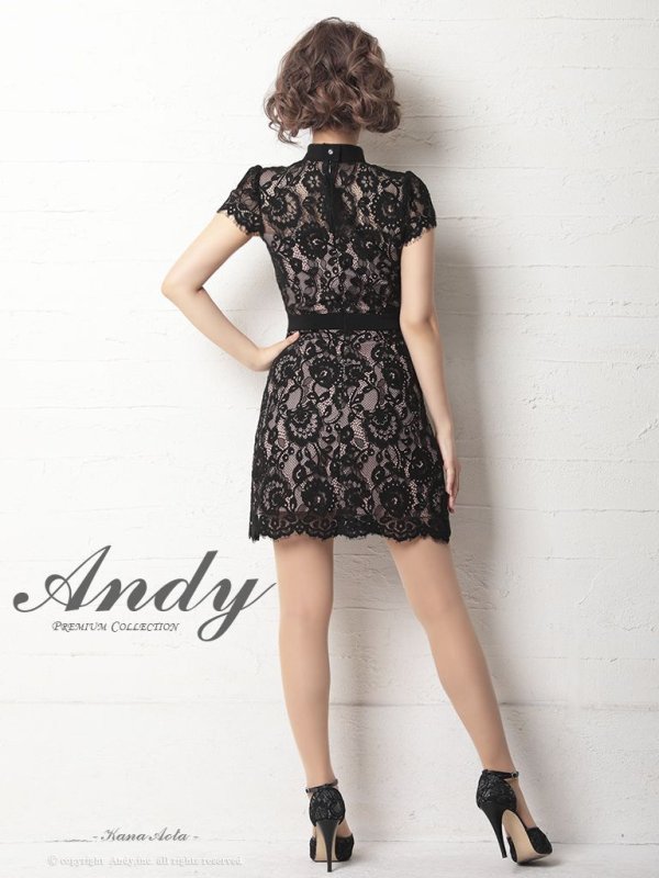 画像4: 【LIMITED SALE開催中！! 11月11日より順次発送予定】【Andy ANDY Fashion Press 12 COLLECTION 07】フラワーレース / ブローチ付き / 半袖 /ハイネック /タイト / ミニドレス / キャバドレス[OF05]