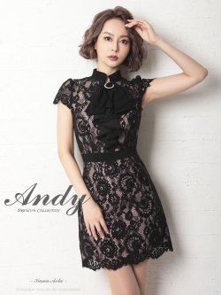 【Andy ANDY Fashion Press 12 COLLECTION 07】フラワーレース / ブローチ付き / 半袖 /ハイネック /タイト / ミニドレス / キャバドレス[FB03]