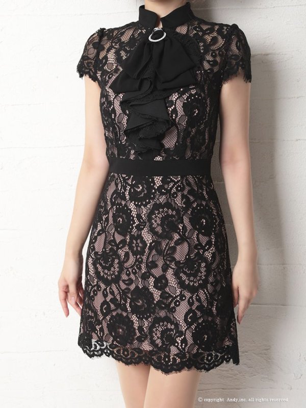 画像5: 【LIMITED SALE開催中！! 11月11日より順次発送予定】【Andy ANDY Fashion Press 12 COLLECTION 07】フラワーレース / ブローチ付き / 半袖 /ハイネック /タイト / ミニドレス / キャバドレス[OF05]
