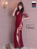 画像1: 【Lサイズあり】 【ROBE de FLEURS Glossy/ローブ・ド・フルール グロッシー】ジップ/ ZIP 袖あり/サイドレース切替/ ロングドレス/ キャバドレスlong[OF2] (1)