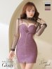 XSサイズあり【ROBE de FLEURS Glossy/ローブ・ド・フルール グロッシー】ジップアップデザイン/ チュールロングスリーブ/ 長袖/ 袖あり/ キャミ/ タイト/ ミニドレス/ キャバドレス　ムードピンク