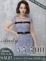 【新春セール開催中！! 】【ANDY/アンディ】シースルー/ フラワーレース/ タイト/ミニドレス /キャバドレス[OF05]