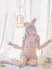 画像10: もこもこバニーコスプレ/アニマルコスプレセット【sugar nineハロウィン6点セット】【FREEサイズ/4カラー】[YMT]