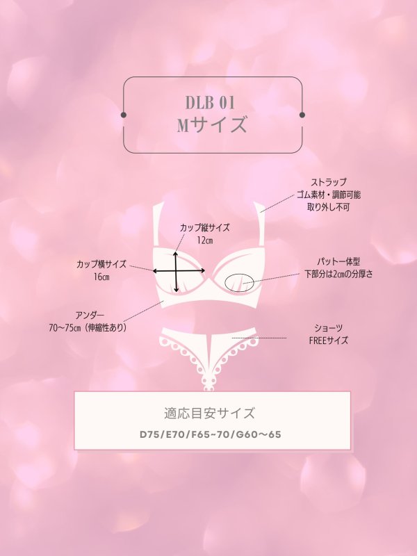 画像13: 【Deco Lingerie/ デコランジェリー】 Deco Lingerie Babydoll 01/ ランジェリー/ 4点セット[OF05]