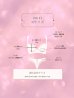 画像13: 【Deco Lingerie/ デコランジェリー】 Deco Lingerie Babydoll 01/ ランジェリー/ 4点セット[OF05]