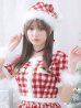 画像15: 【即日発送！】【サンタコス 5点セット】【XS-Lサイズ/2カラー】ギンガムチェックセットアップフレアサンタコスプレ[YMT]