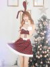 画像4: 【即日発送！】【サンタコス6点セット】【Fサイズ/1カラー】レッドチェックバニーサンタ[YMT][YMT]