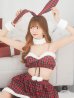 画像7: 【即日発送！】【サンタコス6点セット】【Fサイズ/1カラー】レッドチェックバニーサンタ[YMT][YMT]