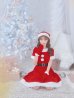 画像9: 【即日発送！】【サンタコス 5点セット】【S-Lサイズ/2カラー】シンプルフレアサンタ[YMT]