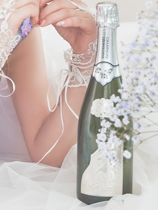 画像26: 【関西コレクション着用】【Lip line/リップライン】フラワー刺繍/ ノースリーブ/ Aライン/ フレア/ プリンセス/ ロングドレス/ キャバドレス long[HC03]