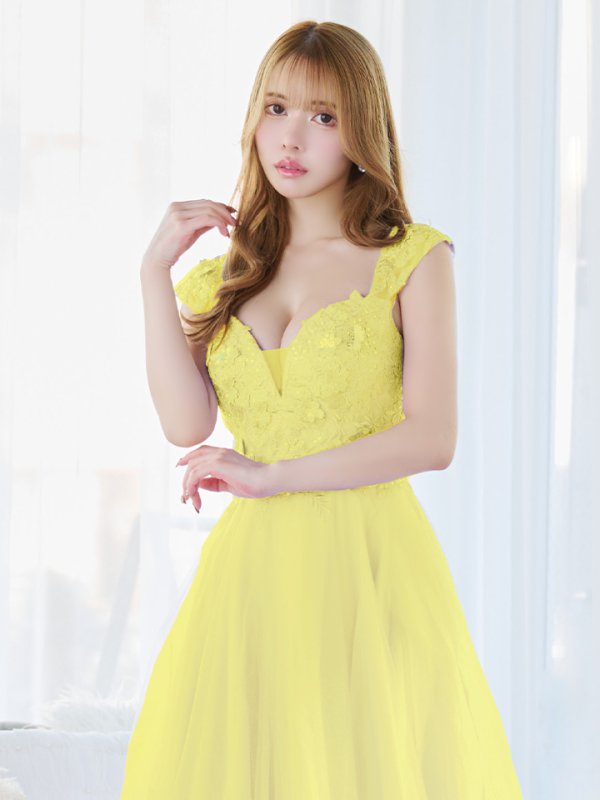 画像8: 【関西コレクション着用】【Lip line/リップライン】フラワー刺繍/ ノースリーブ/ Aライン/ フレア/ プリンセス/ ロングドレス/ キャバドレス long[HC03]