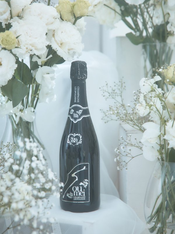 画像8: 【関西コレクション着用】【Lip line/リップライン】スパンコール刺繍/ キャミソール/ ラメ/ チュール/ フレア/ Aライン/ ロングドレス/ キャバドレス long[HC03]