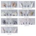 画像20: ドライフラワー【全7種類】【ヘアアクセサリー】[HC02-U] (20)