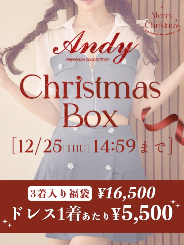 画像1: 【クリスマスボックス】【予約商品/12月25日より順次発送】【1着5,500円】ANDY ミニドレス３着入りXMAS BOX[OF05]