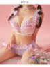 画像4: 【Deco Lingerie/ デコランジェリー】 Deco Lingerie05/ ランジェリー/ 4点セット[OF05]