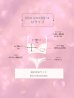 画像16: 【Deco Lingerie/ デコランジェリー】 Deco Lingerie13/ ランジェリー/ 4点セット[OF02C]