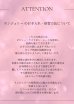 画像19: 【Deco Lingerie/ デコランジェリー】 Deco Lingerie13/ ランジェリー/ 4点セット[OF02C]