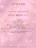 画像19: 【予約商品/6月上旬発送予定】【Deco Lingerie/ デコランジェリー】 Beach Lingerie 21/ 水着/ 2点セット[YMT]