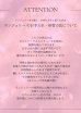 画像18: 【Deco Lingerie/ デコランジェリー】 Deco Lingerie19/ ランジェリー/ 4点セット[OF05]