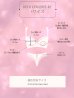 画像15: 【Deco Lingerie/ デコランジェリー】 Deco Lingerie42/ ランジェリー/ 4点セット[OF05] (15)
