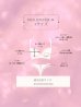 画像22: 【Deco Lingerie/ デコランジェリー】 Deco Lingerie 44/ ランジェリー/ 6点セット[OF05]