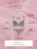 画像14: 【予約商品/6月上旬-6月中旬発送予定】【Deco Lingerie/ デコランジェリー】 Beach Lingerie 50/ 水着/ 2点セット[YMT]
