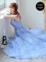 【関西コレクション着用】【Lip line/リップライン】フラワー刺繍/ Vネック/ Aライン/ ノースリーブ/ プリンセス/ フレア/ ロングドレス/ キャバドレス long[HC03]