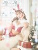 画像1: 即日発送！【サンタコス 8点セット】【S-Mサイズ/1カラー】セットアップツイードバニーサンタコスプレ[YMT] (1)