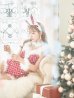 画像13: 即日発送！【サンタコス 8点セット】【S-Mサイズ/1カラー】セットアップツイードバニーサンタコスプレ[YMT]