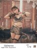 画像1: 即日発送！】【sugar nine×マリームーンコラボ】 セクシーレオパードコスプレセット【ハロウィン7点セット】【XS-Lサイズ/1カラー】[YMT] (1)