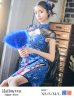 画像26: 【即日発送】【ハロウィン】 タイトチャイナドレス 【コスプレ2点セット】 【XS-Lサイズ/3カラー】(SE01YN)【YMT】