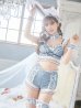 画像9: 【即日発送】【sugar nine×マリームーンコラボ】 セクシーレースバニーコスプレセット【sugar nineハロウィン7点セット】【S-Mサイズ/3カラー】[YMT]