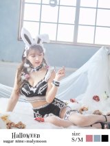 【即日発送】【sugar nine×マリームーンコラボ】 セクシーレースバニーコスプレセット【sugar nineハロウィン7点セット】【S-Mサイズ/3カラー】[YMT]