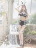 画像11: 【即日発送】【sugar nine×マリームーンコラボ】 セクシーレースバニーコスプレセット【sugar nineハロウィン7点セット】【S-Mサイズ/3カラー】[YMT]
