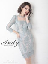 【Andy ANDY Fashion Press 11 COLLECTION 01】 フラワーレース / シアー/ 総レース/ 長袖/ 袖あり/ タイト/ キャバドレス[OF05]