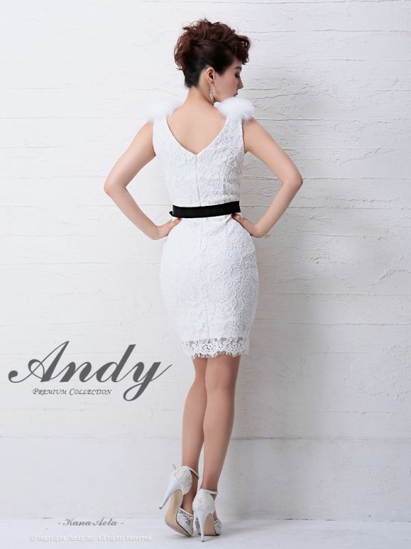 画像4: 【ANDY/アンディ】ファー付き/ 総レース/ ウェストリボン/ タイト/ ミニドレス/ キャバドレス[OF05]
