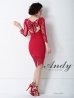 画像13: 【ANDY/アンディ】レース/ 七分袖/ バックリボン/ タイト/ ミニドレス/ キャバドレス[FB03] (13)