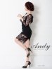 画像3: 【ANDY/アンディ】レース/ 七分袖/ バックリボン/ タイト/ ミニドレス/ キャバドレス[FB03] (3)