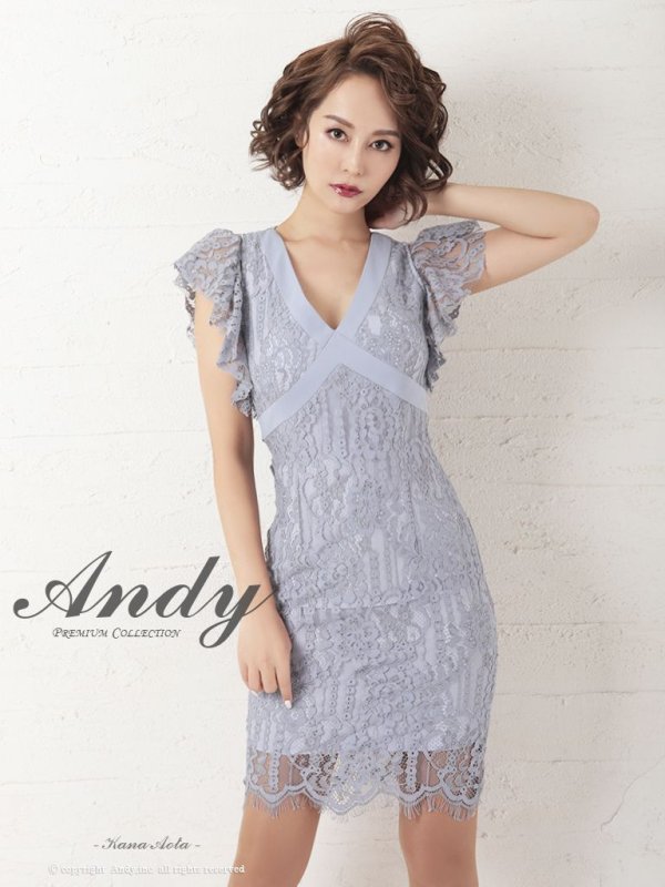 画像2: 【ANDY/アンディ】総レース/ リボンベルトデザイン/ フラワー刺繍/ Vネック/ タイト/ ワンピース/ キャバドレス[FB03]