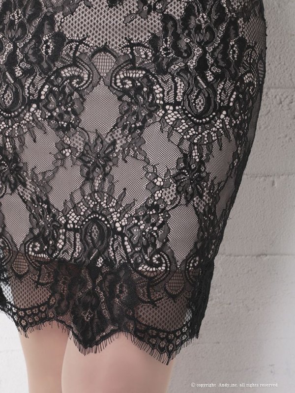 画像18: 【ANDY/アンディ】総レース/ 袖あり/ 長袖/ バックリボン/ タイト/ ミニドレス / キャバドレス[OF05]