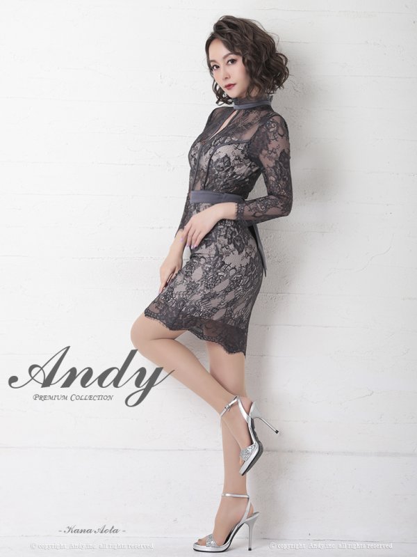 画像3: 【ANDY/アンディ】総レース/ 袖あり/ 長袖/ バックリボン/ タイト/ ミニドレス / キャバドレス[OF05]