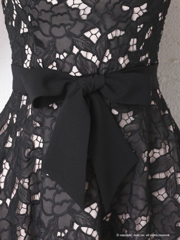 画像14: 【Andy ANDY Fashion Press 11 COLLECTION 04】フラワーレース/ ウエストリボン/ ノースリーブ/ ラインデザイン/ フレア/ ミニドレス/ キャバドレス[OF05]