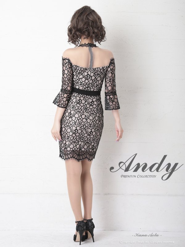 画像23: Andy ANDY Fashion Press 11 COLLECTION 06【ANDY/アンディ】総レース/ オフショルデザイン/ ハーフスリーブ/ 袖あり/ タイト/ ミニドレス/ キャバドレス[OF05]