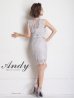 画像4: 【ANDY/アンディ】ドットレース/ レース/ ノースリーブ/ タイト/ ミニドレス/ キャバドレス[FB03] (4)