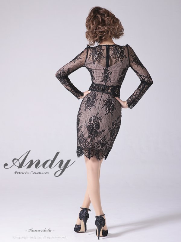 画像21: 【ANDY/アンディ】総レース/ バストクロスデザイン/ 長袖/ 袖あり/ タイト/ ミニドレス/ キャバドレス[OF05]