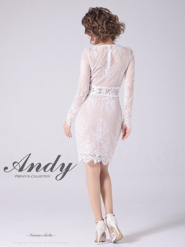 画像30: 【ANDY/アンディ】総レース/ バストクロスデザイン/ 長袖/ 袖あり/ タイト/ ミニドレス/ キャバドレス[OF05]
