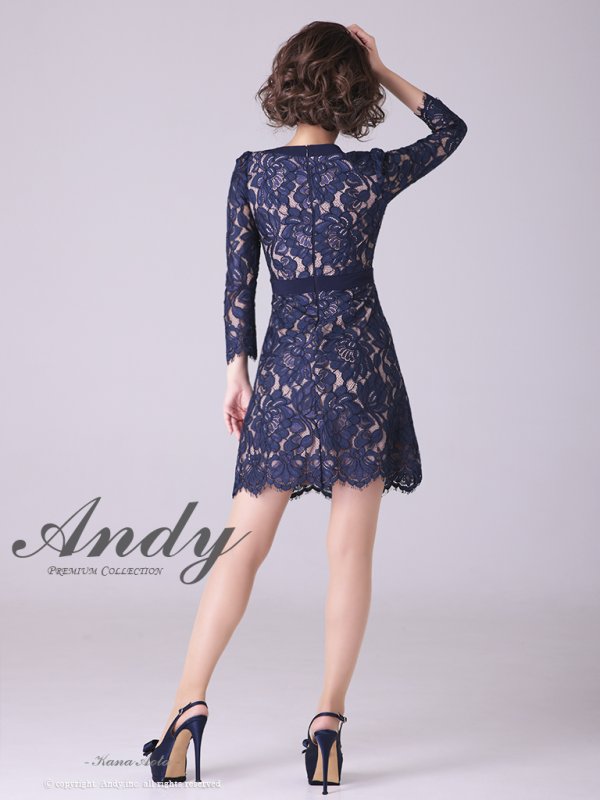 画像5: 【Andy ANDY Fashion Press 14 COLLECTION 03】 フラワーレース / ウエストリボン/ 長袖/ 袖あり/ Aライン/ ミニドレス/ キャバドレス[OF05]